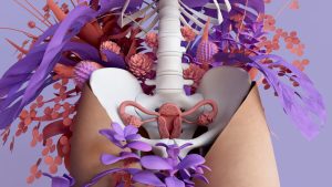 ポルチオとは？どこの性感帯？セックスのやり方・位置・開発方法