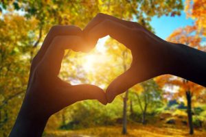 恋愛占い｜水晶玉子が占う「あの人の気持ち・恋の行方」無料鑑定