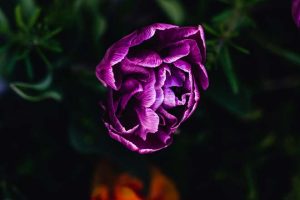 不倫中の独身女性は必見！不倫関係を長続きさせる付き合い方とは